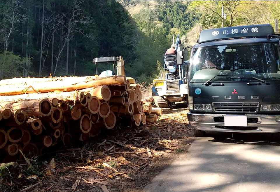 立木の伐採・草刈り・土木工事は正機産業にお任せください